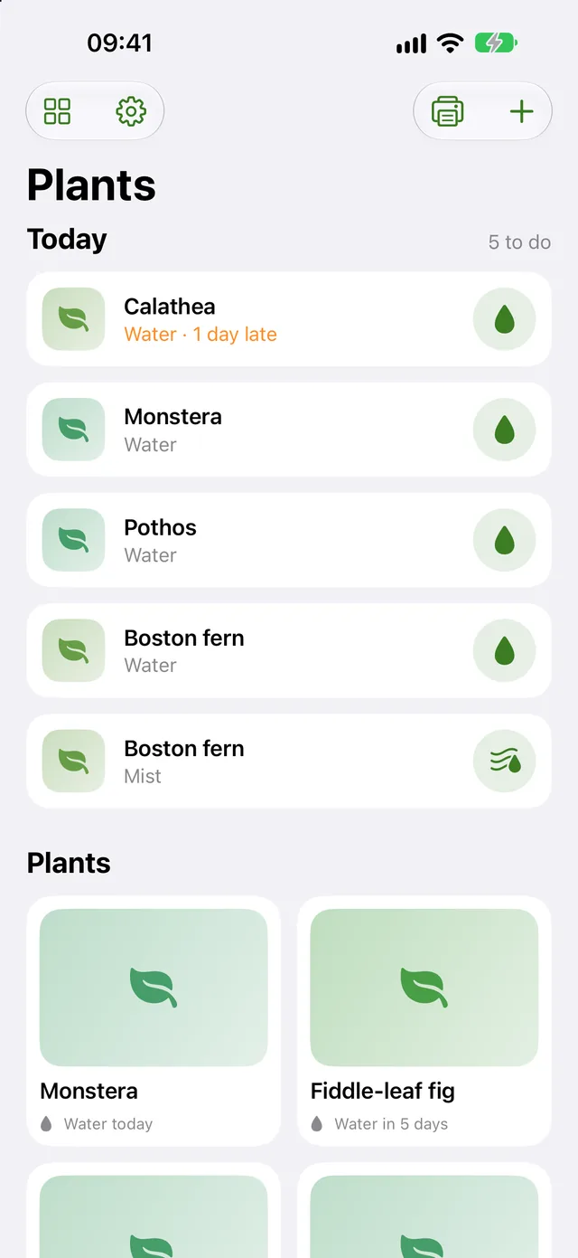 Plants: today’s list, 5 things to do, one of them a day late