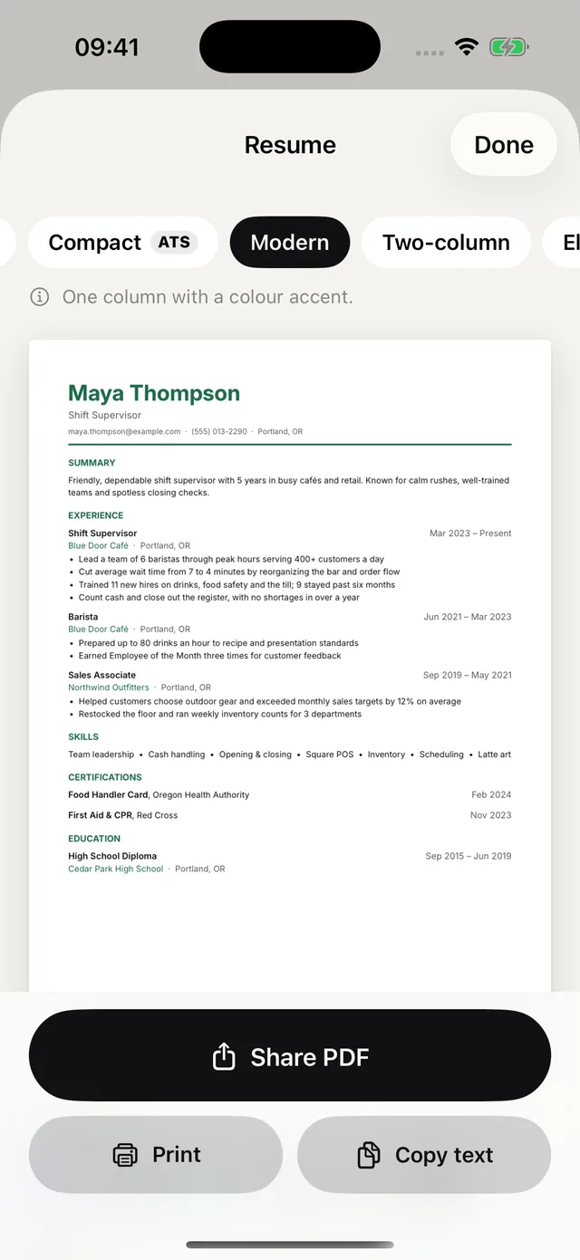 A résumé in the Modern design